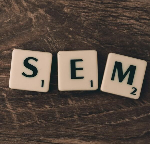 affordable seo for businesses