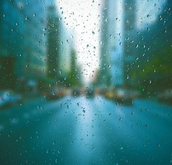 website organic traffic solutions